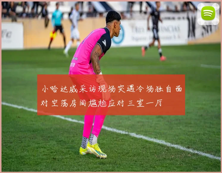 小哈达威采访现场突遇冷场独自面对空荡房间尴尬应对三室一厅